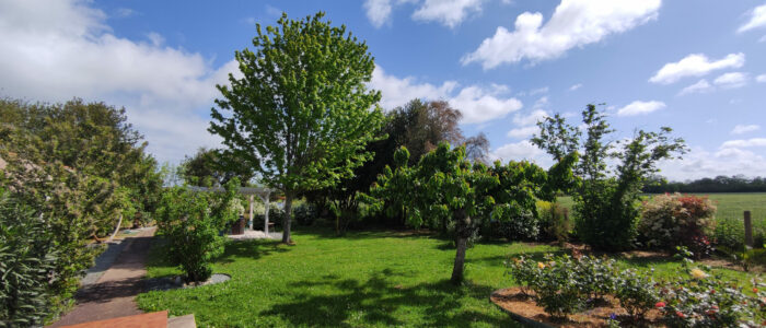 Jardin